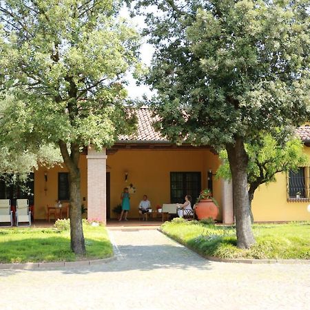 B&B La Vigna Di Federico Rubano Exteriör bild
