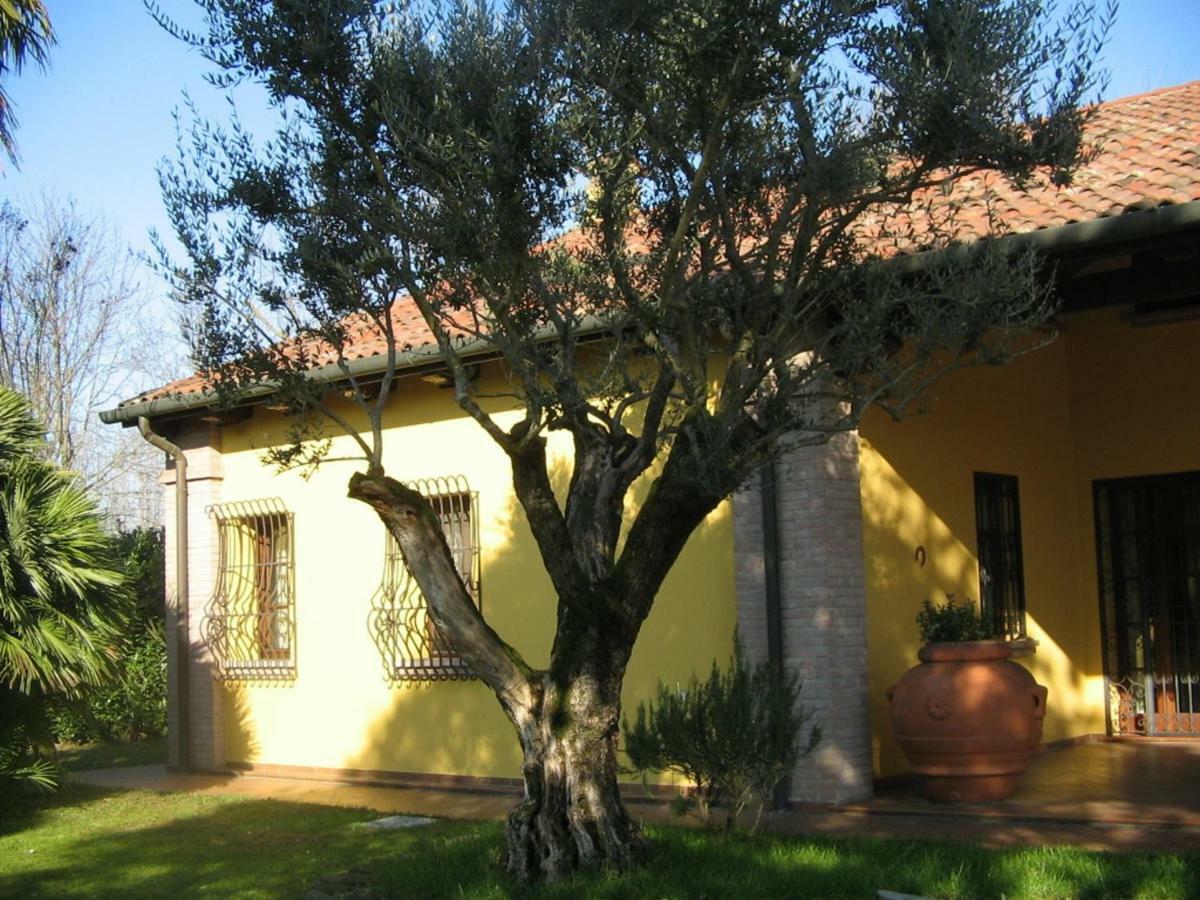B&B La Vigna Di Federico Rubano Exteriör bild